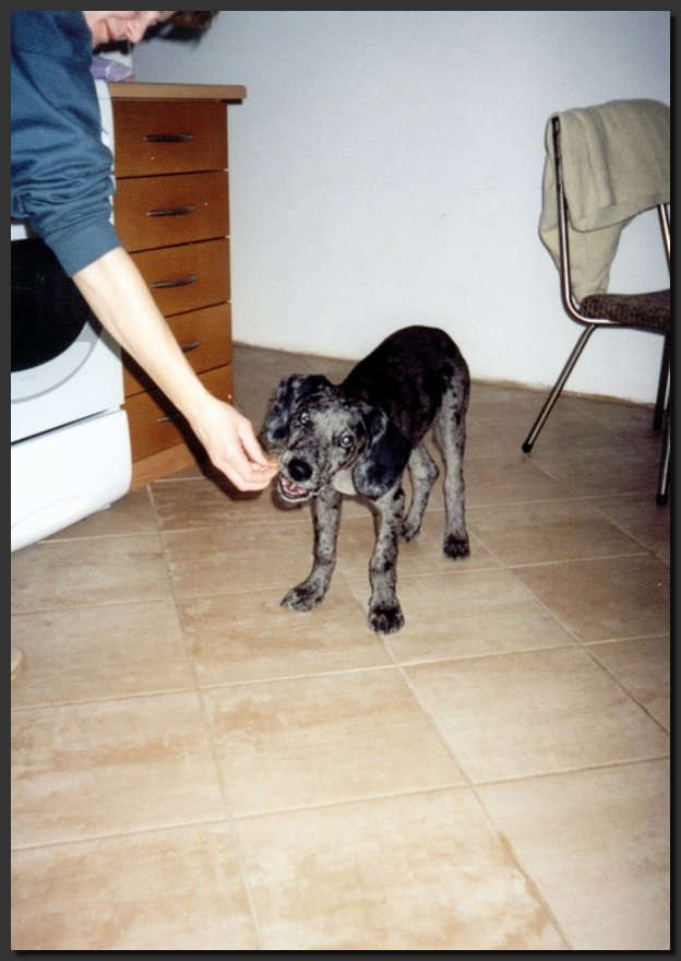2000-11 (4).jpg