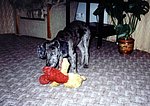2000-11 (1).jpg