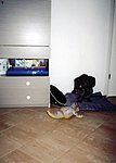 2000-11 (3).jpg