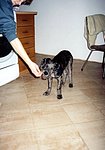 2000-11 (4).jpg