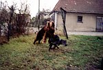 2000-11 (6).jpg
