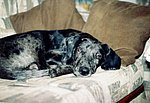 2000-12-15 (4).jpg