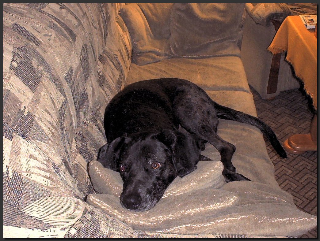 2003-10-04.jpg