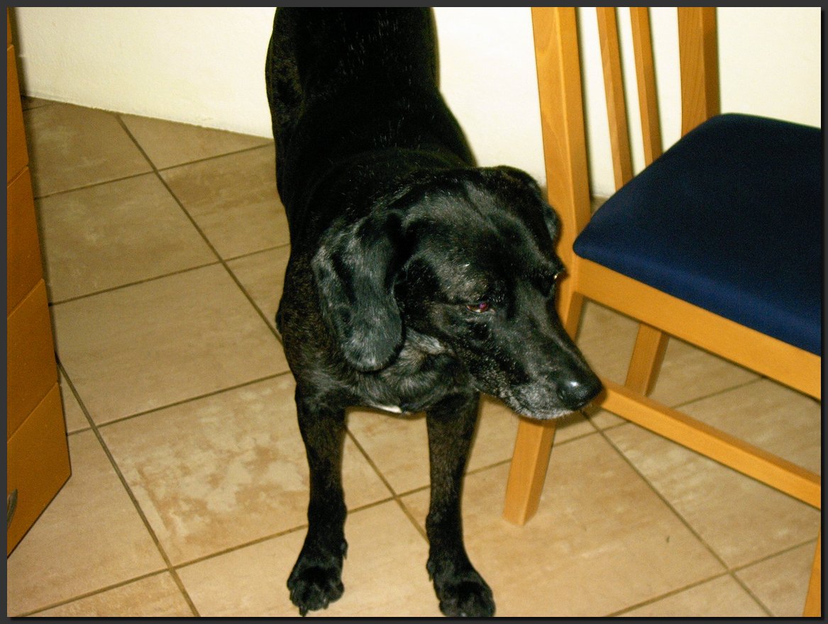 2003-10-10.JPG