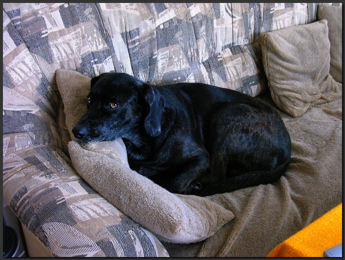 2003-10-11 (1).JPG