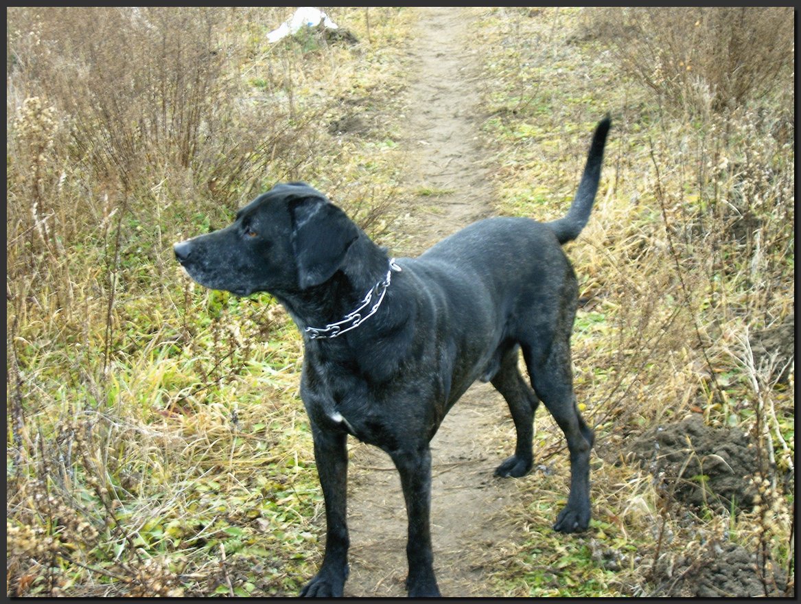 2003-11-16.JPG