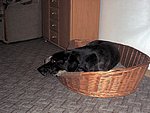 2003-07-09 (1).jpg