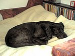 2003-07-09 (2).jpg