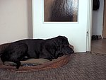 2003-07-15 (1).jpg