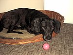 2003-07-15 (2).jpg
