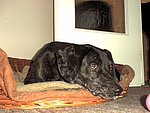 2003-07-15 (3).jpg