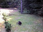 2003-07-27.jpg