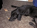 2003-07-29.jpg