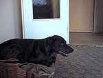 2003-08-03.jpg