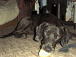 2003-08-08.jpg