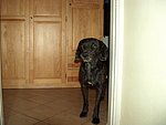 2003-08-17.jpg