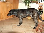 2003-08-18.jpg