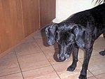 2003-08-24.jpg