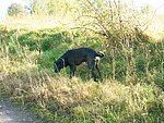 2003-10-07 (1).JPG
