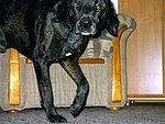 2003-10-07 (2).JPG
