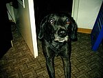2003-10-07 (3).JPG