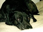 2003-10-08 (1).JPG
