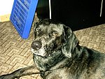 2003-10-08 (2).JPG