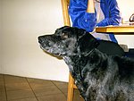 2003-10-08 (3).JPG