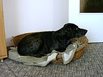 2003-10-09 (1).JPG
