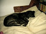 2003-10-09 (3).JPG