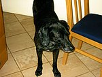 2003-10-10.JPG