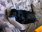 2003-10-11 (1).JPG