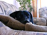 2003-10-11 (2).JPG