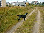 2003-10-16 (1).JPG
