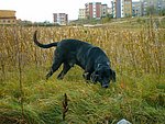 2003-10-16 (2).JPG