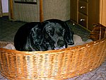 2003-10-18.JPG