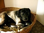 2003-10-19.JPG