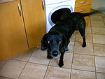 2003-10-22.JPG