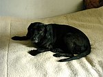 2003-10-24.JPG