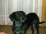 2003-11-01.JPG