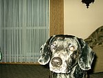 2003-11-03 (1).JPG