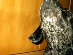 2003-11-03 (2).JPG