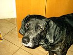 2003-11-03 (3).JPG
