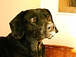 2003-11-11 (1).JPG