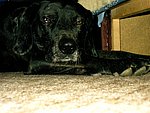 2003-11-11 (2).JPG