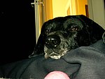 2003-11-11 (3).JPG