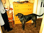 2003-11-11 (4).JPG
