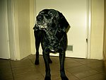 2003-11-12 (2).JPG
