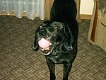 2003-11-20 (1).JPG