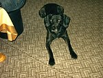 2003-11-20 (2).JPG